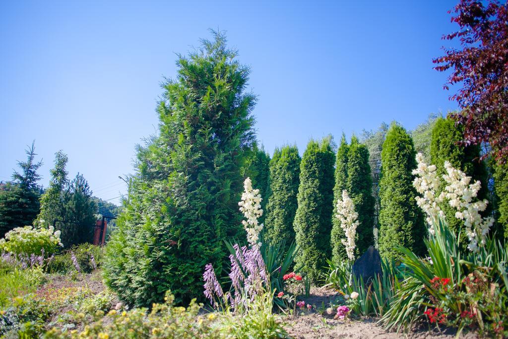 Pansionat Bogema Truskawiec Zewnętrze zdjęcie